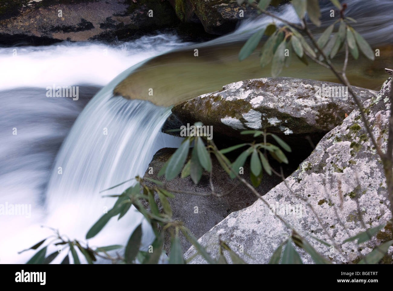 Wasserfall - Pisgah National Forest - nahe Brevard, North Carolina, USA Stockfoto