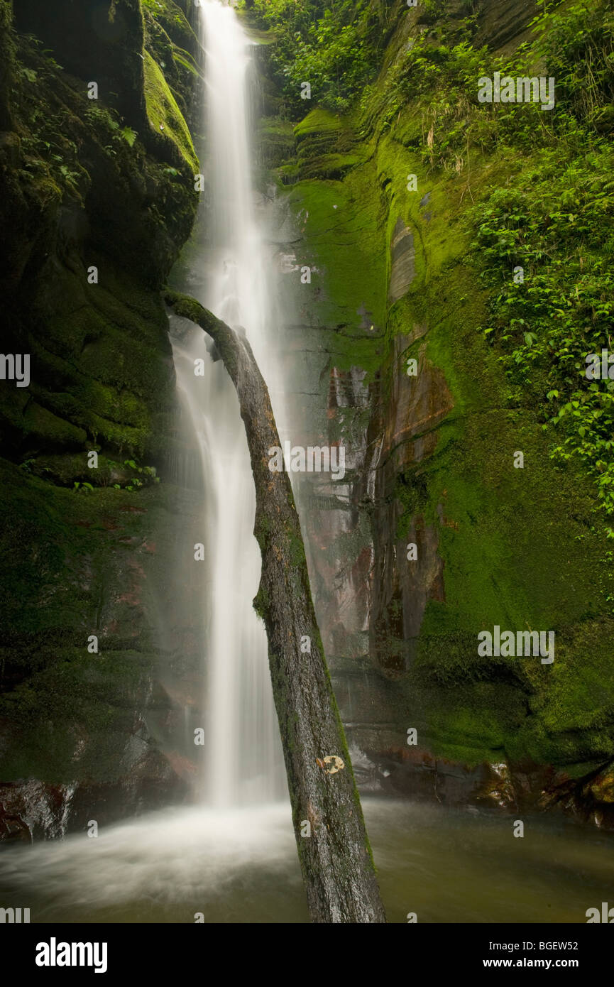 Wasserfall, Mo Chu Tal, Jigme Dorji National Park, BHUTAN Stockfoto