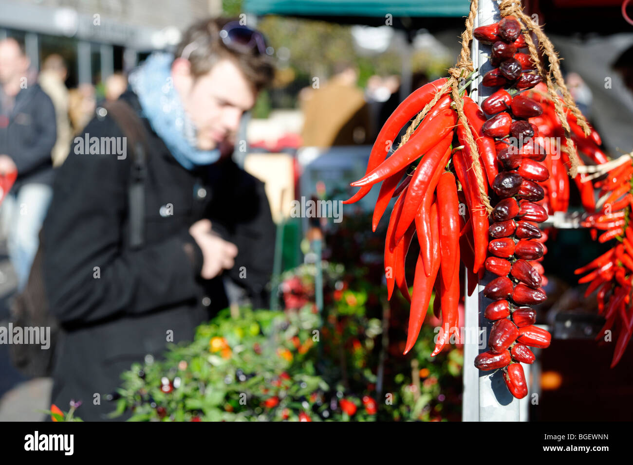 Chilis auf eine Pflanze-Stall. Bermondsey Bauernmarkt. London. UK 2009. Stockfoto
