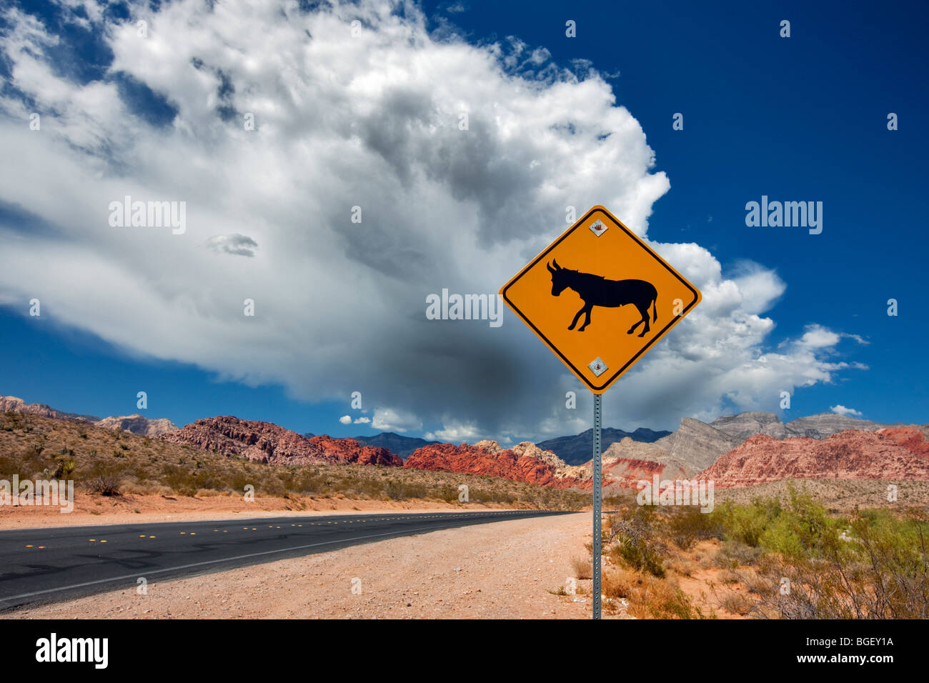 Straße, Maultier Zeichen, Gewitterwolken und Felsformationen im Red Rock Canyon National Conservation Area, Nevada Stockfoto