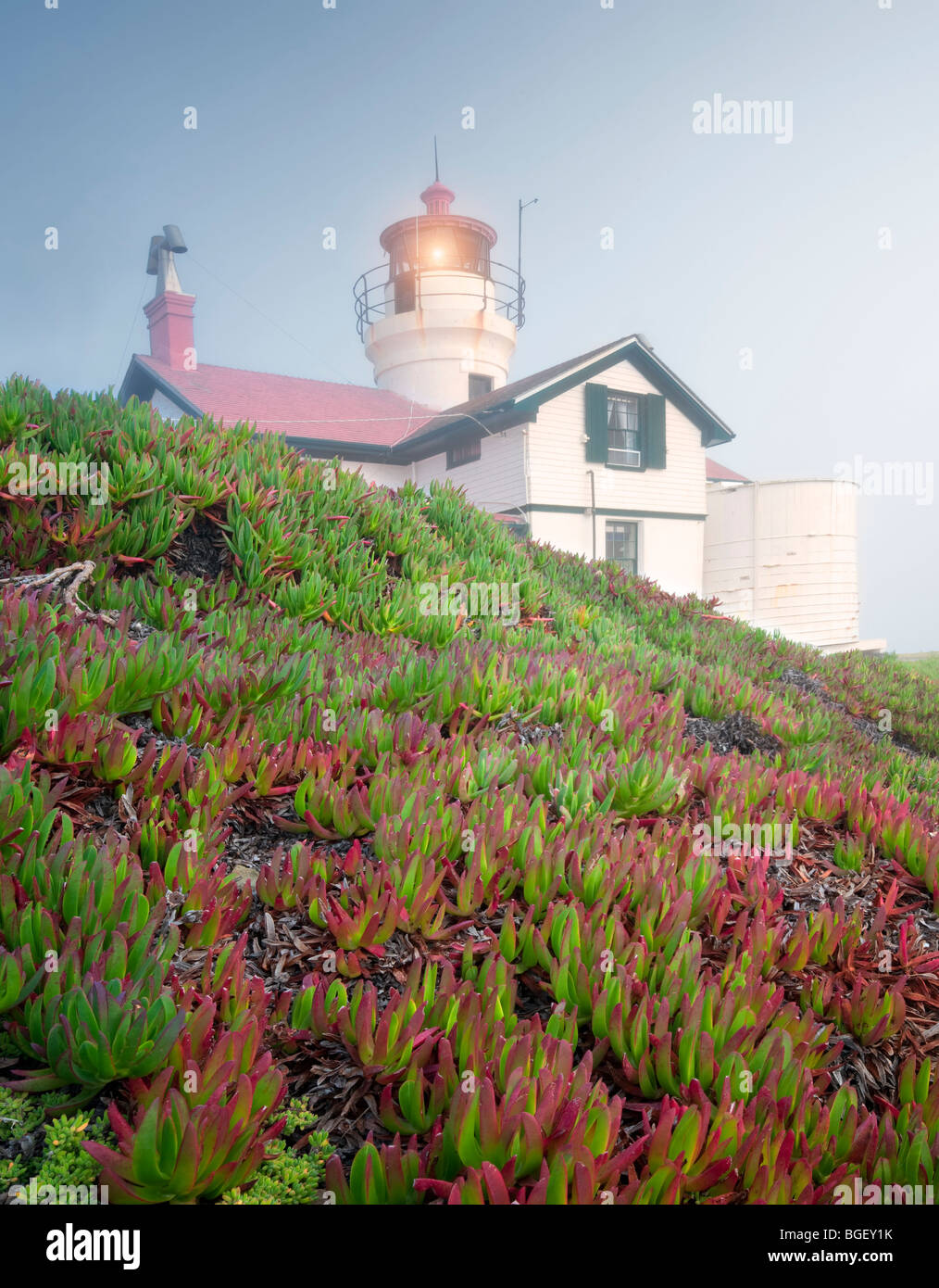 Battery Point Lighthouse mit Eis und Nebel. California Stockfoto