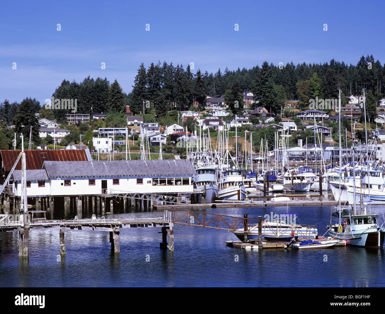 Gig Harbor, Washington State, USA. Kommerzielle Fischereiflotte im Hafen von Gig. Stockfoto