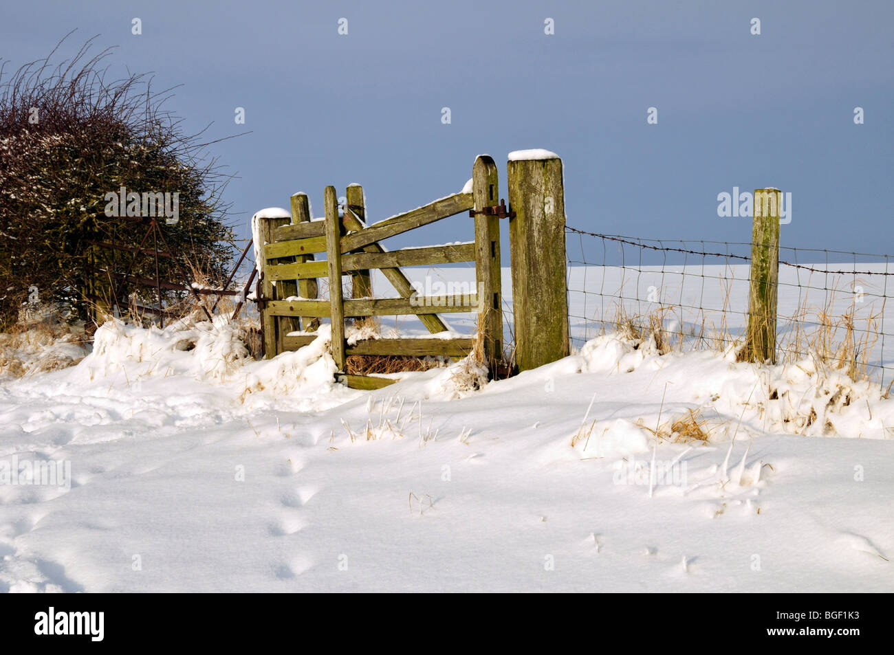 Zaun Feld Schneewetter Northumberland county Landschaft Stockfoto