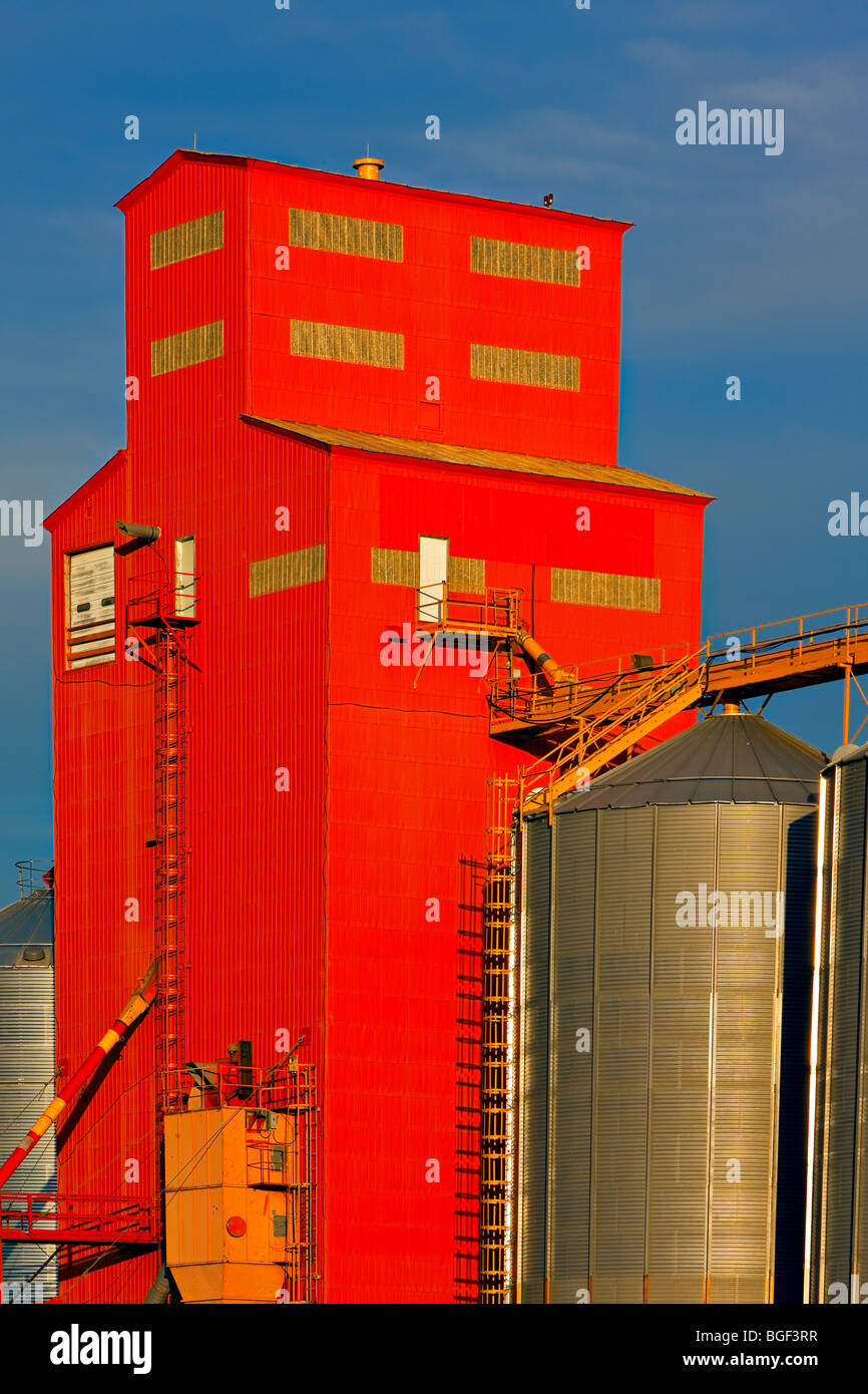 Getreidesilo in der Stadt von Morse, Saskatchewan, Kanada. Stockfoto