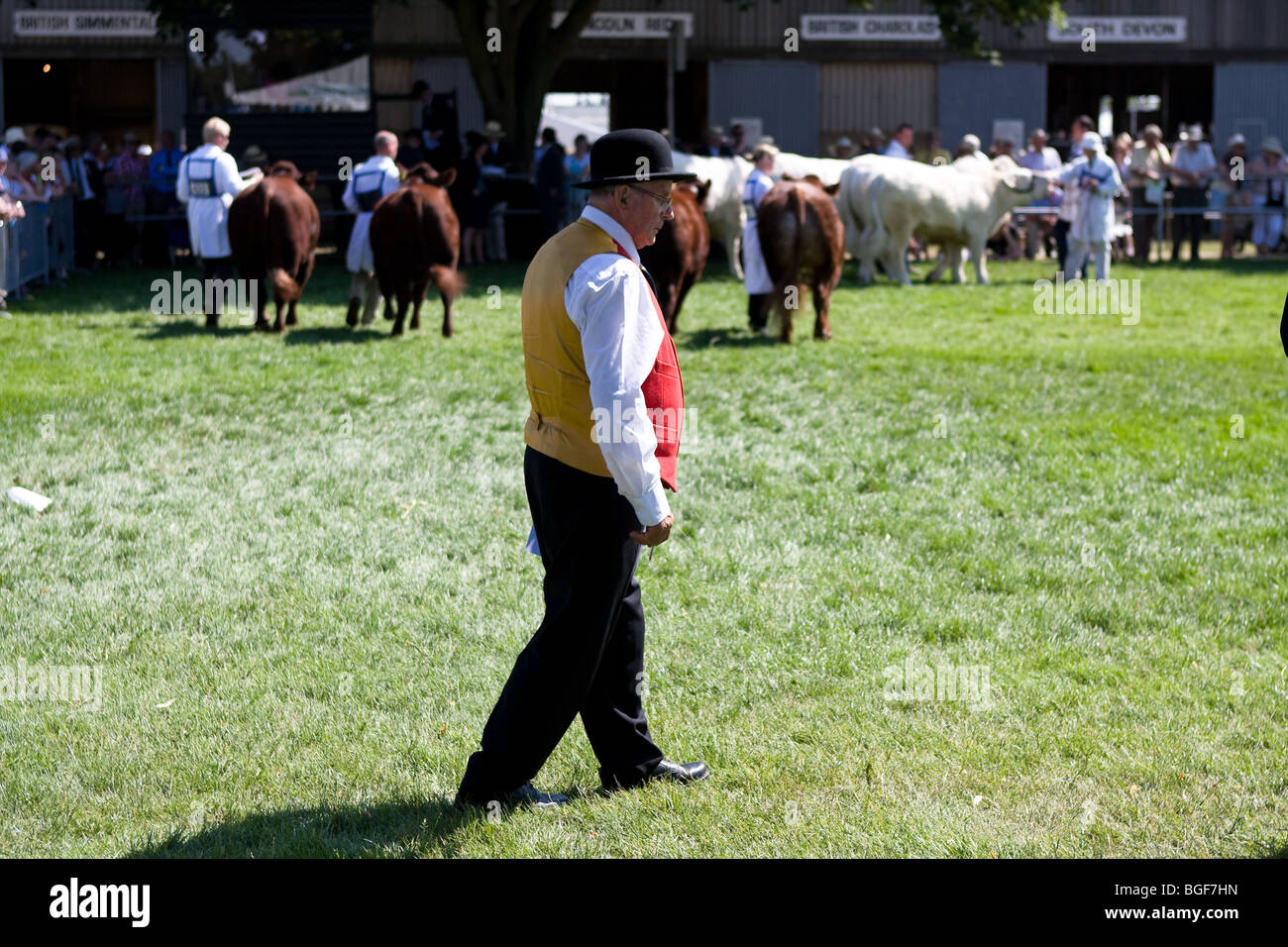 Beurteilung der Rinder Rassen und Vieh - the Royal Norfolk zeigen in Norwich, im Jahr 2009. Stockfoto