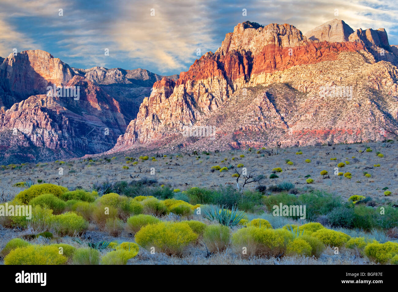 Kaninchen-Pinsel und Felsformationen im Red Rock Canyon National Conservation Area, Nevada. Himmel wurde hinzugefügt. Stockfoto