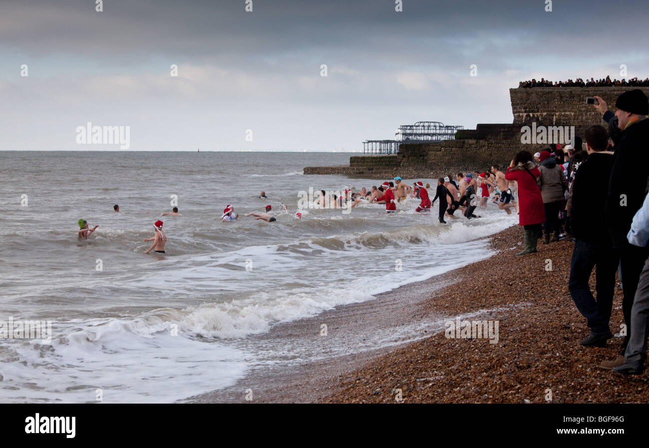 Beginn der 2010 Brighton Christmas Day schwimmen von Brighton Swimming Club organisiert Stockfoto