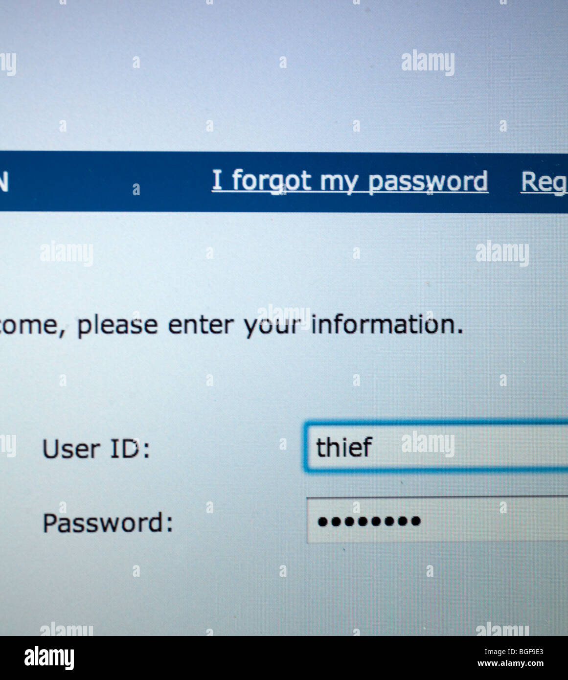 Computer Bildschirm zeigt Anmeldeseite mit Benutzer-Id des Dieb Stockfoto