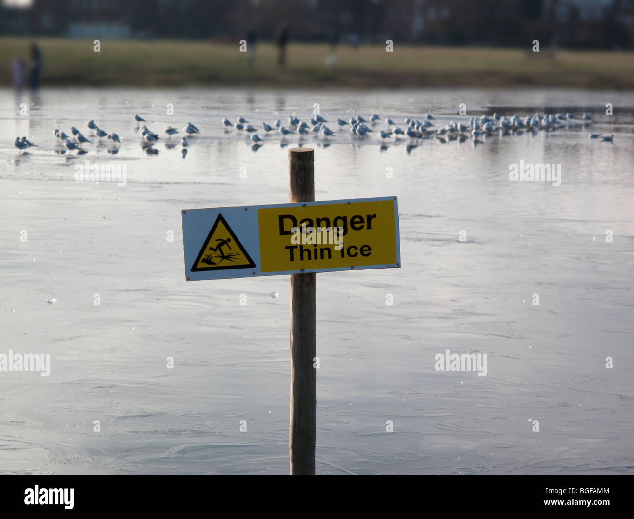 Gefahr, dünnem Eis, Wegweiser auf zugefrorenen Teich, Wimbledon Common, London Stockfoto