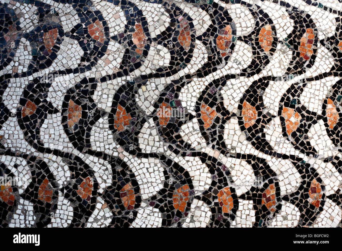 Byzantinische Mosaik-Fußboden, Kirche Santa Maria e San Donato, Murano, Venedig, Veneto, Italien Stockfoto