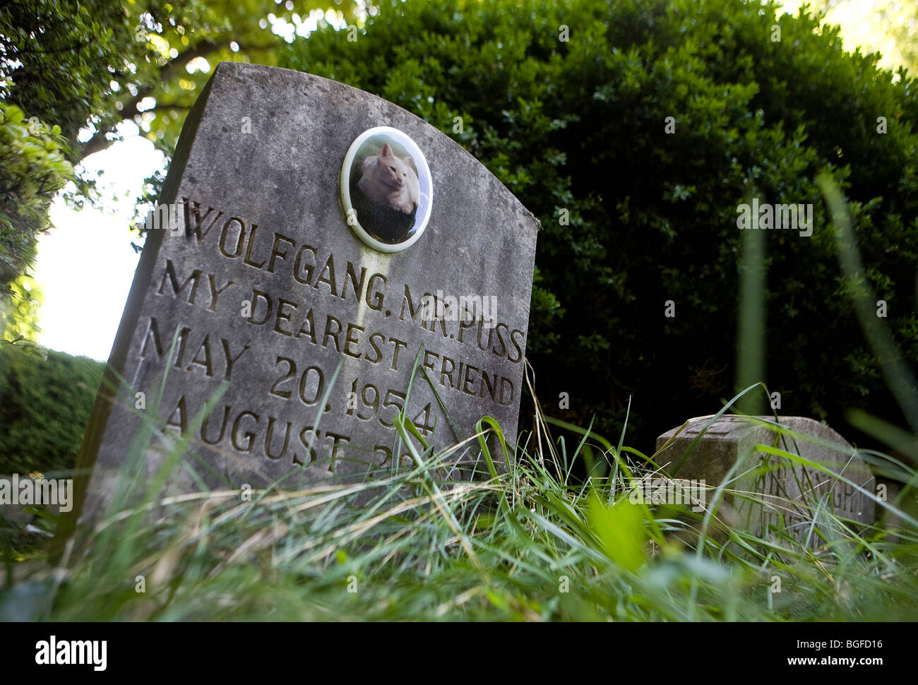 8. Juli 2009 – Silver Spring, Maryland – der Aspin Hill Pet Cemetery in den Vororten von Washington, D.C. ist der zweitälteste Tierfriedhof der Vereinigten Staaten aus dem Jahr 1921. In den letzten Jahren ist der Friedhof, der derzeit von der Montgomery County Humane Society betrieben wird, in Verfall geraten, da die Spenden an die Humane Society gesunken sind und die Kosten für die Instandhaltung gestiegen sind. Stockfoto