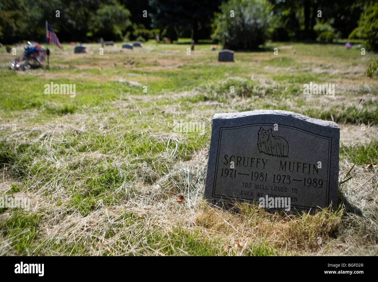 8. Juli 2009 – Silver Spring, Maryland – der Aspin Hill Pet Cemetery in den Vororten von Washington, D.C. ist der zweitälteste Tierfriedhof der Vereinigten Staaten aus dem Jahr 1921. In den letzten Jahren ist der Friedhof, der derzeit von der Montgomery County Humane Society betrieben wird, in Verfall geraten, da die Spenden an die Humane Society gesunken sind und die Kosten für die Instandhaltung gestiegen sind. Stockfoto