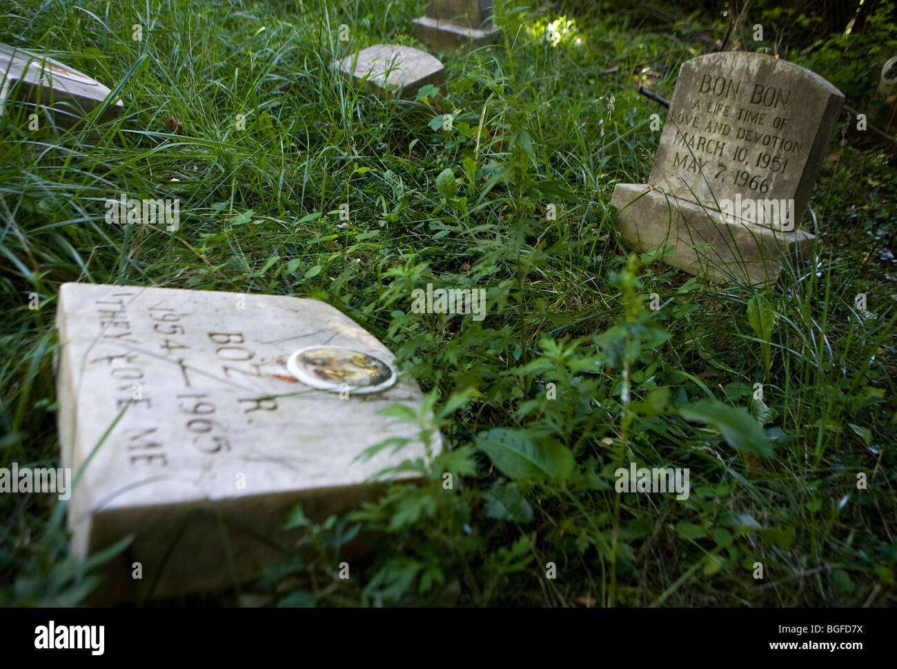 8. Juli 2009 – Silver Spring, Maryland – der Aspin Hill Pet Cemetery in den Vororten von Washington, D.C. ist der zweitälteste Tierfriedhof der Vereinigten Staaten aus dem Jahr 1921. In den letzten Jahren ist der Friedhof, der derzeit von der Montgomery County Humane Society betrieben wird, in Verfall geraten, da die Spenden an die Humane Society gesunken sind und die Kosten für die Instandhaltung gestiegen sind. Stockfoto