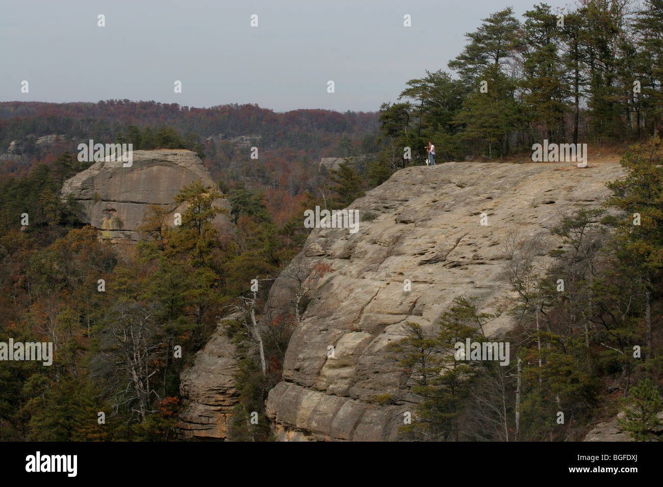 Red River Gorge Kentucky Courthouse Rock Farben des Herbstes Stockfoto