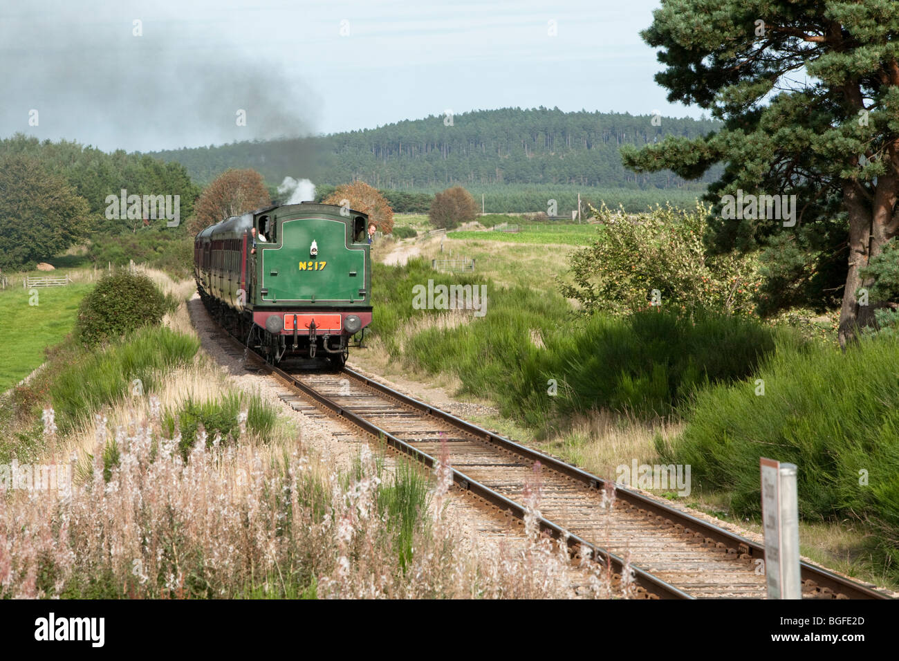 Dampflok auf die Strathspey Steam Railway in der Nähe von Aviemore, Cairngorm National Park, Schottland, Großbritannien Stockfoto