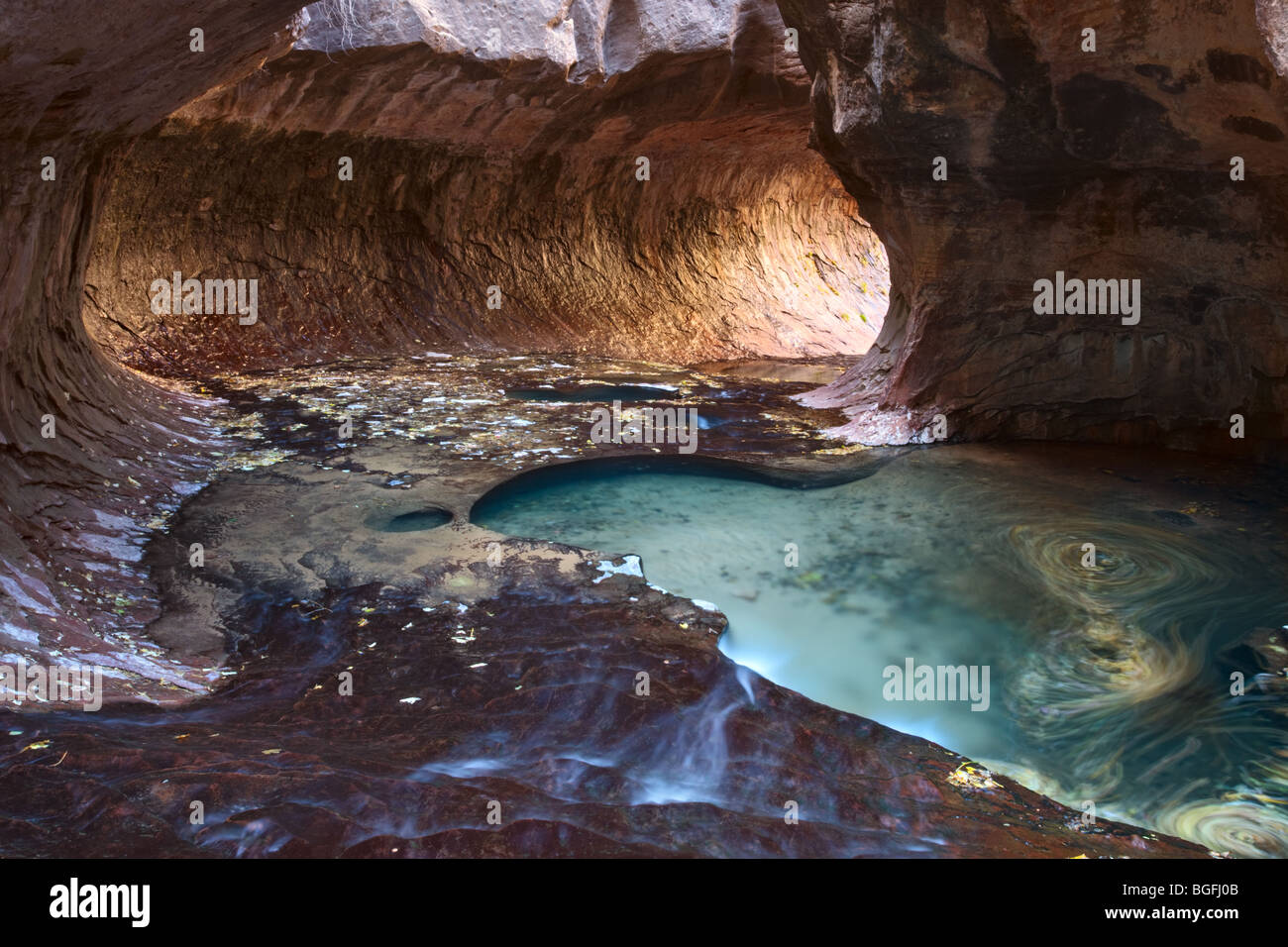 U-Bahn-Formation entlang links Gabel Creek in ZIon National Park in Utah im Abschnitt Kolob Terrassen Stockfoto