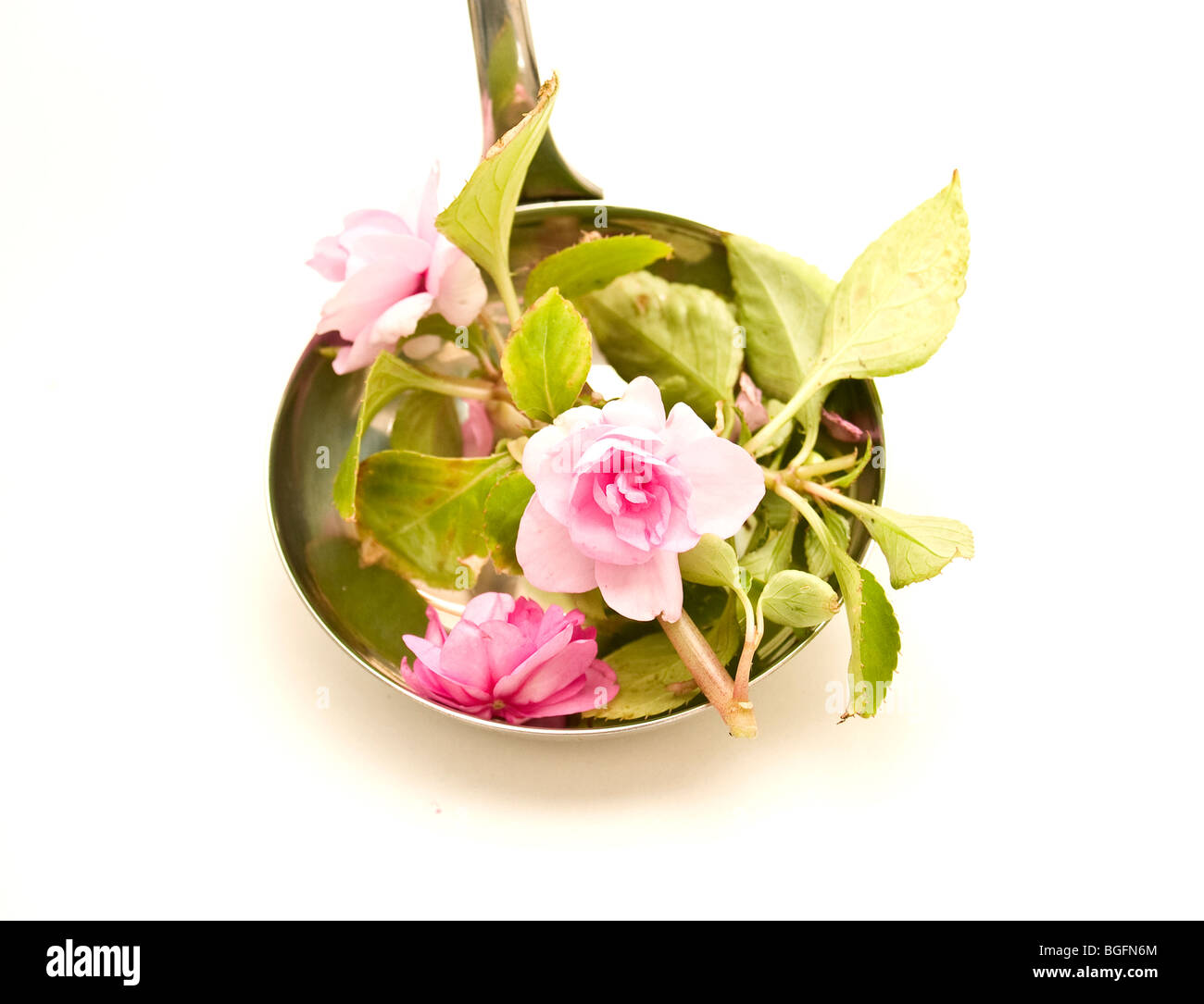 Schöpfkelle Suppe mit Blumen Stockfoto