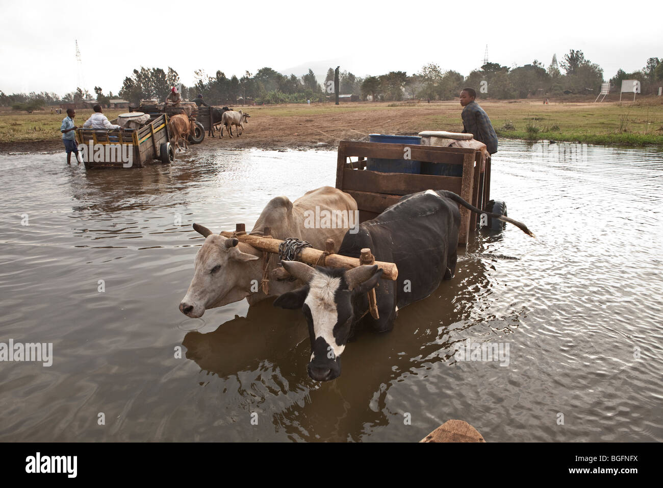 Einwohner ziehen Wasser aus See Babati, Tansania, Ostafrika. Stockfoto