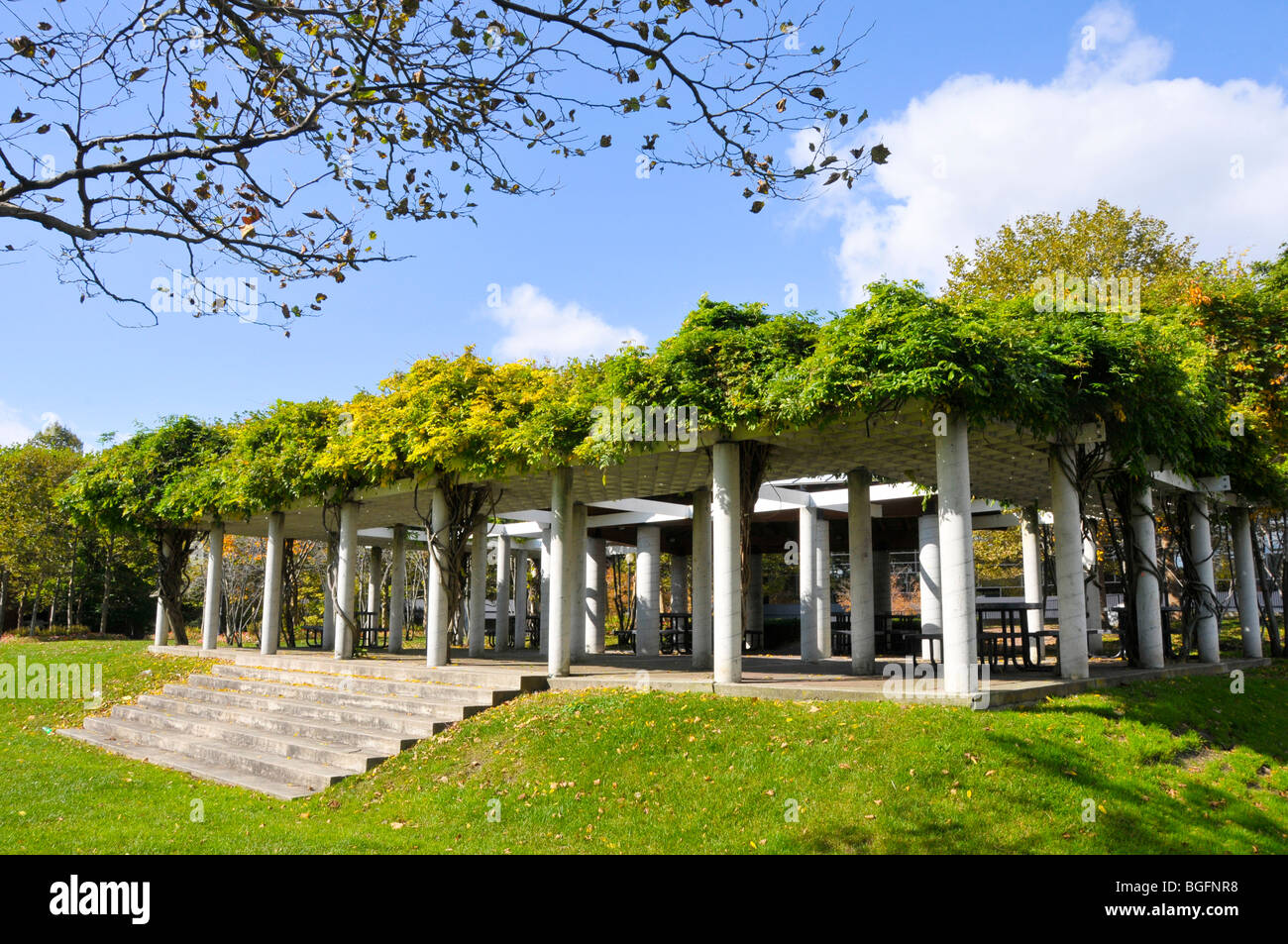 Pergola Downtown Corning New York Region der Finger Lakes Stockfoto