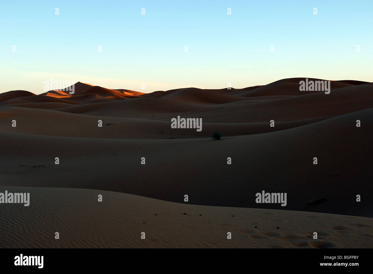 Blick auf die Wüste Sahara in Marokko Stockfoto