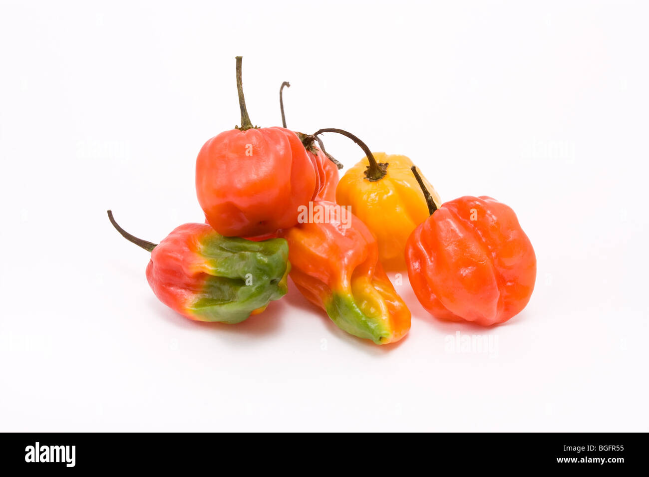 Gemischte Caribbean scotch Bonnet Chilis vor weißem Hintergrund Stockfoto