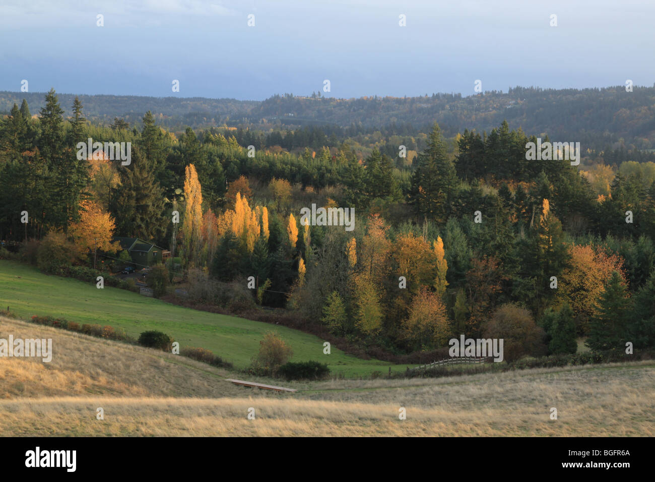 Herbstliche Farben des Willamette Valley in Oregon Stockfoto