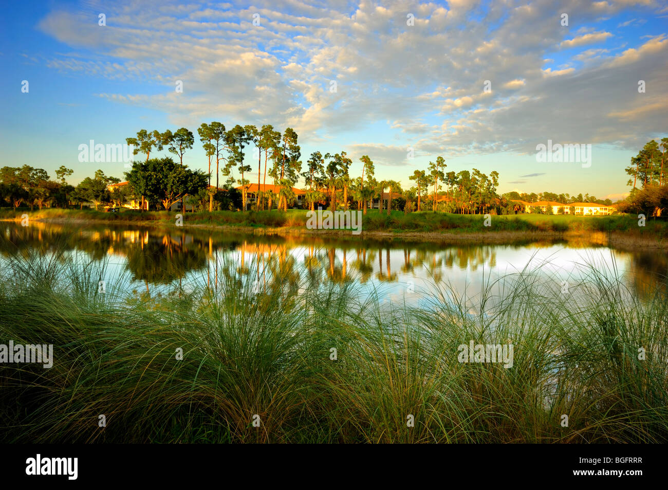 Glen Eagle Golf Club Country Resort, Naples, Florida, USA Stockfoto