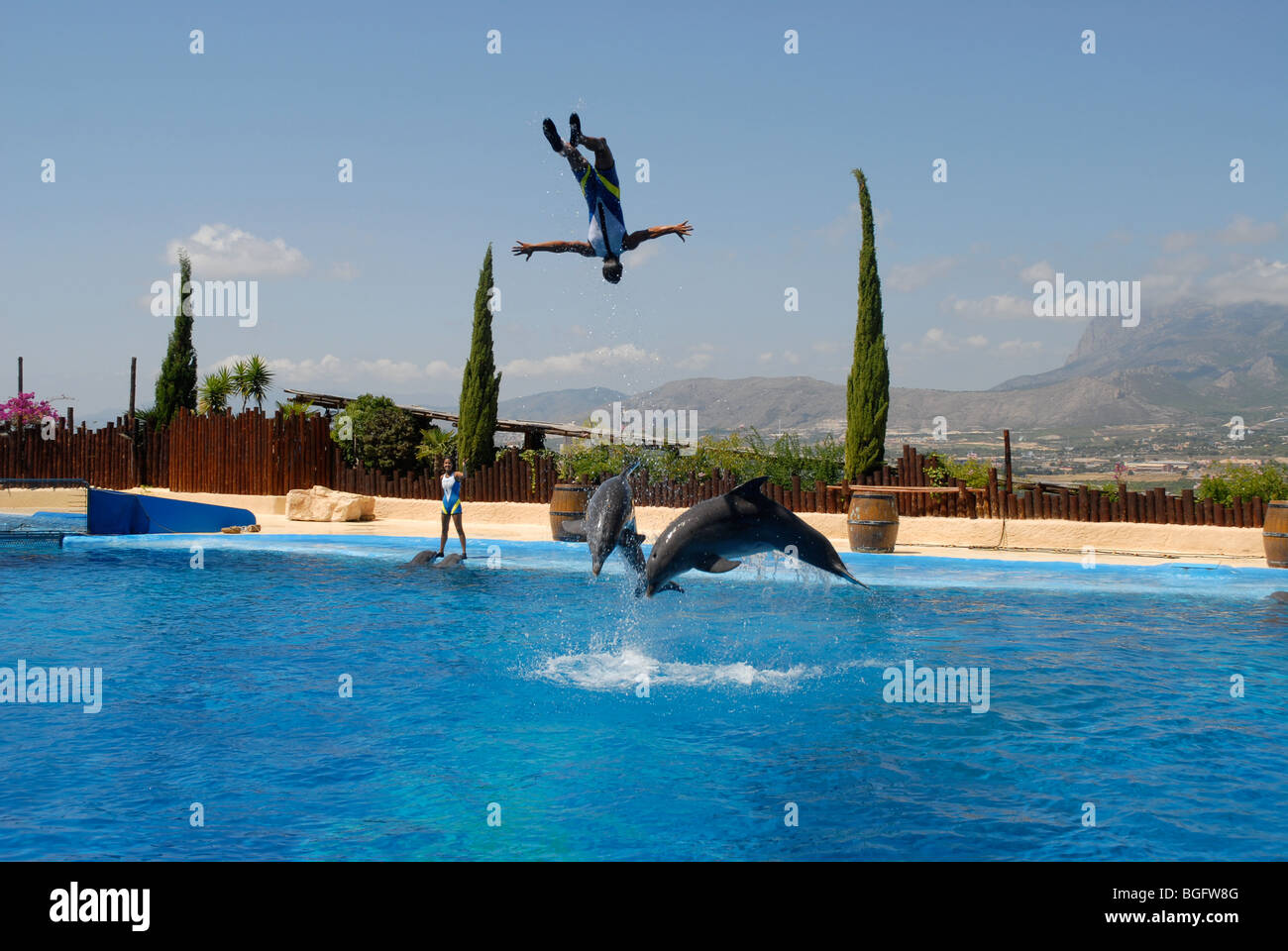 Durchführung von Delphin und Trainer, Delfin Show, Mundomar, Benidorm, Alicante Provinz, Comunidad Valenciana, Spanien Stockfoto