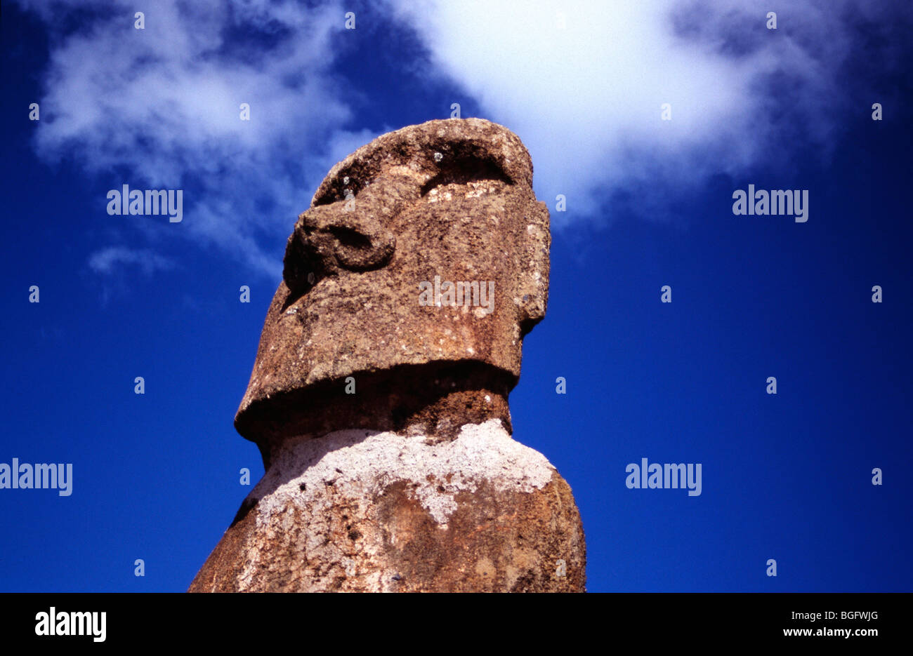 Kopf einer Statue der Osterinsel, einem Moai auf der Insel Stockfoto