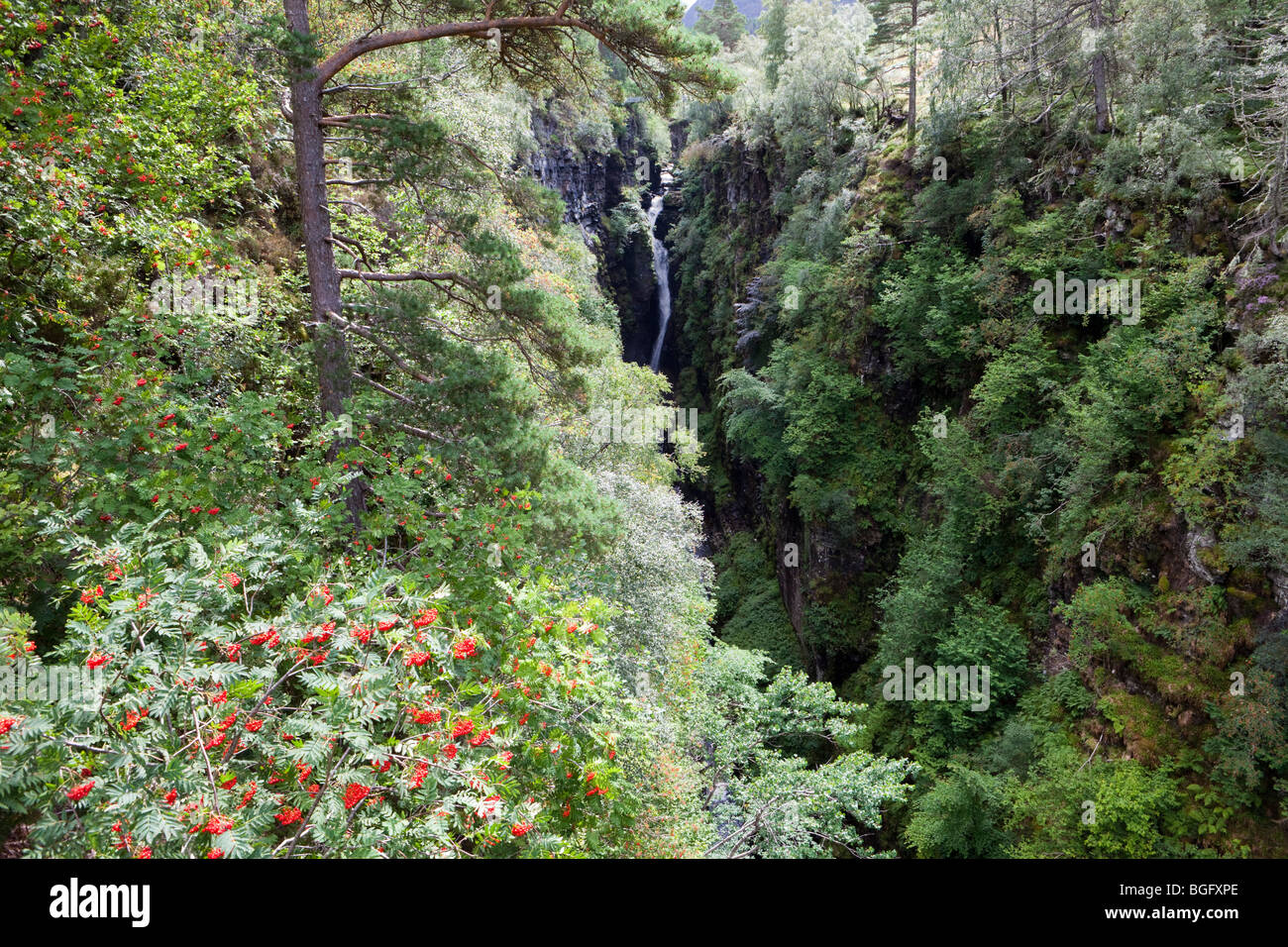 Die 150 Fuß (46m) Wasserfälle von Measach im Corrieshalloch Gorge National Nature Reserve, Braemore, Highland, Schottland, Großbritannien Stockfoto