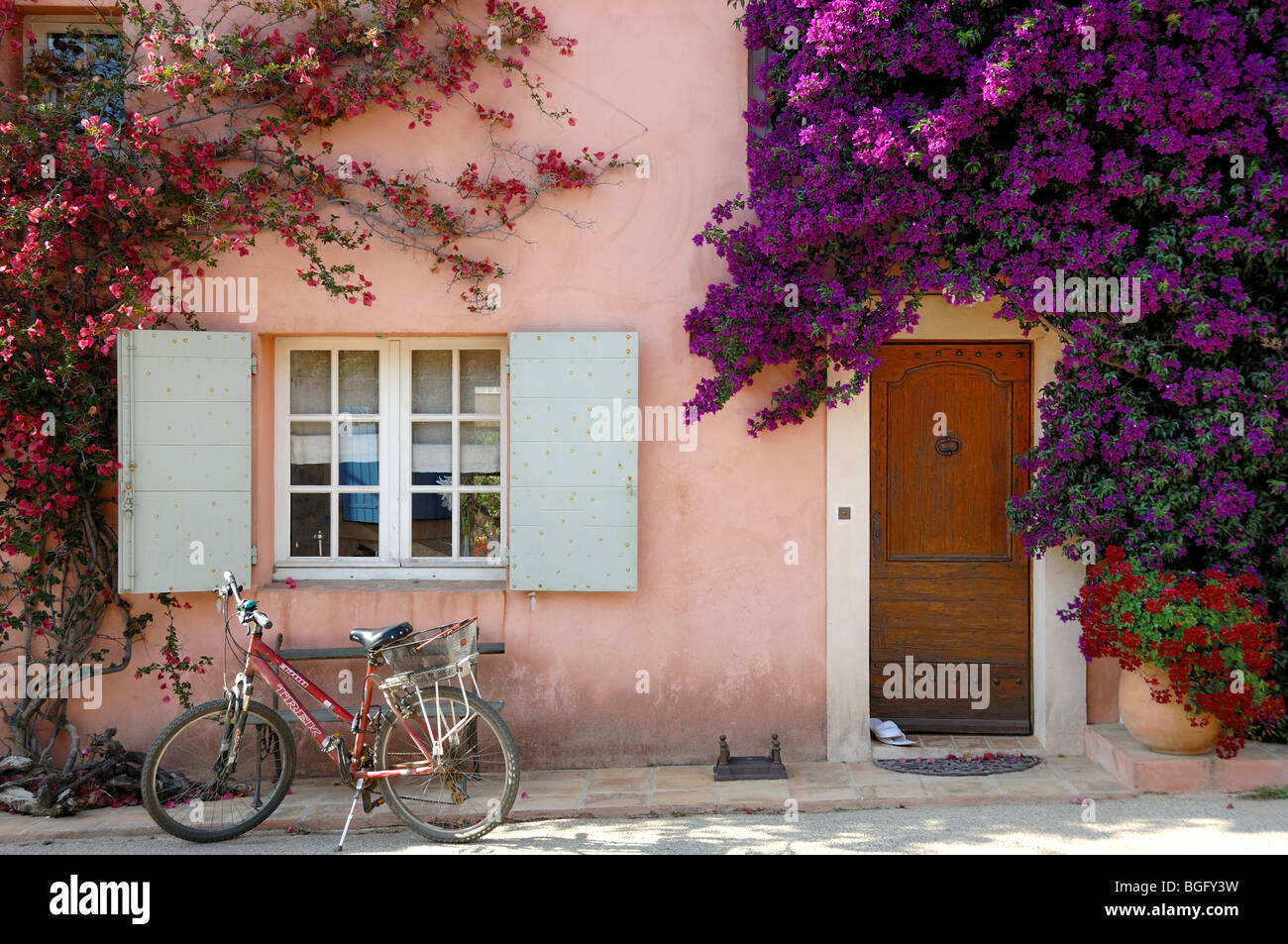 Rosa Haus, grau Fensterläden, Fahrrad & Tür umgeben von Bougainvillea, Porquerolles Island, Îles d'Hyères Var Côte d ' Azur Frankreich Stockfoto