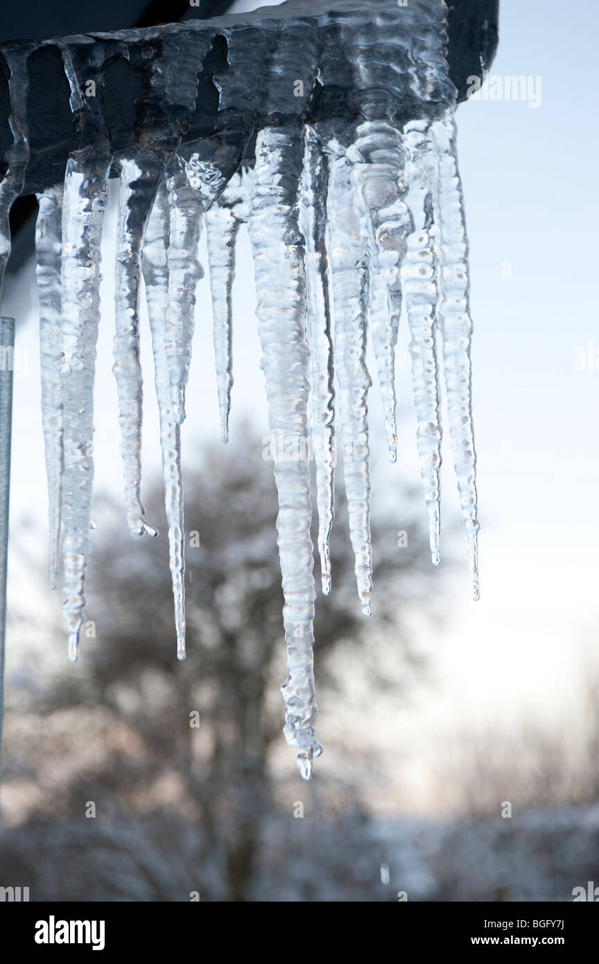 Eiszapfen am Bundsteg im winter Stockfoto