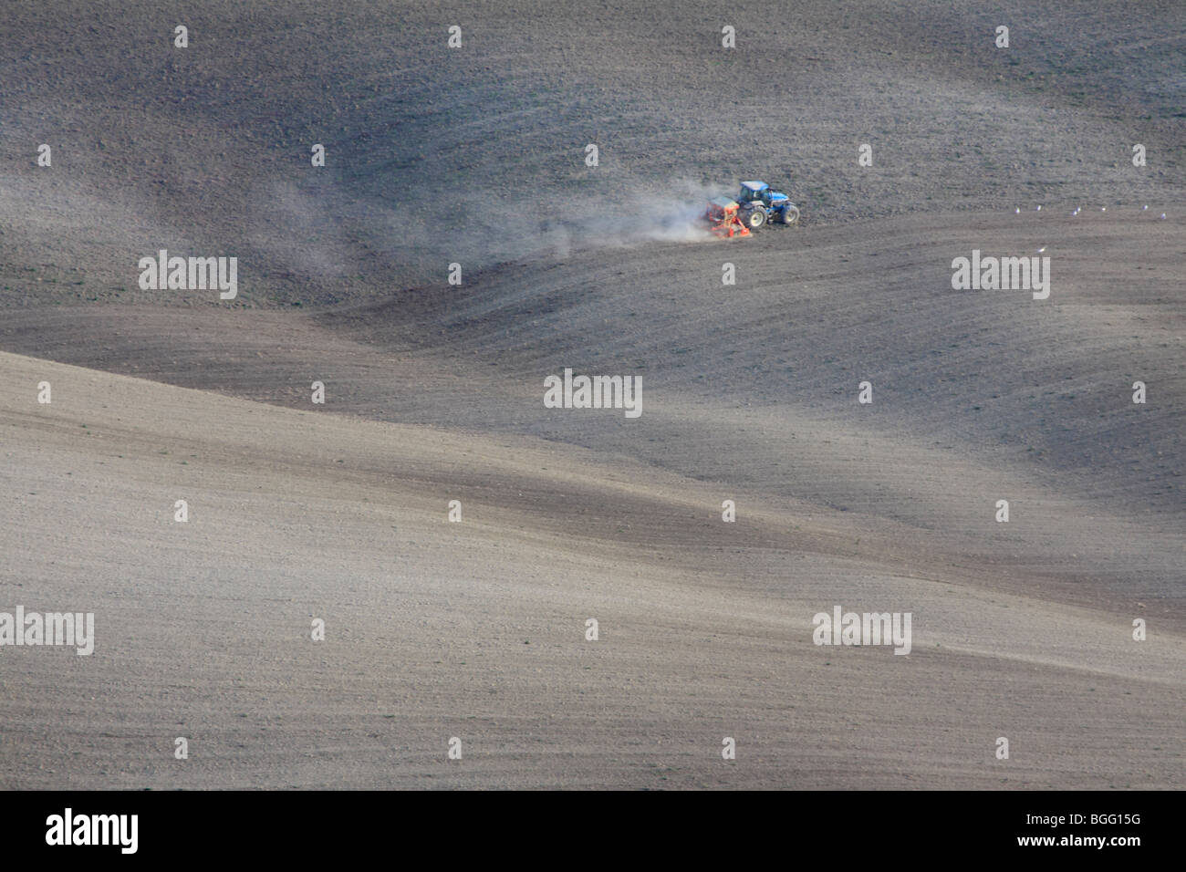 Traktor mit Egge in eine wellige braune Feld in der Toskana Stockfoto