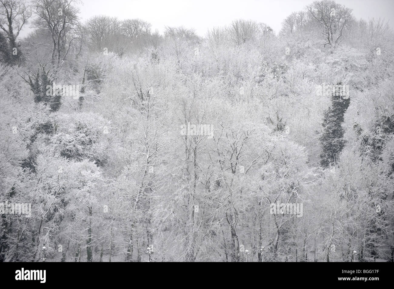 Withean Stadion harmonieren mit Schnee beladene Bäume in Brighton, Sussex UK winter Stockfoto