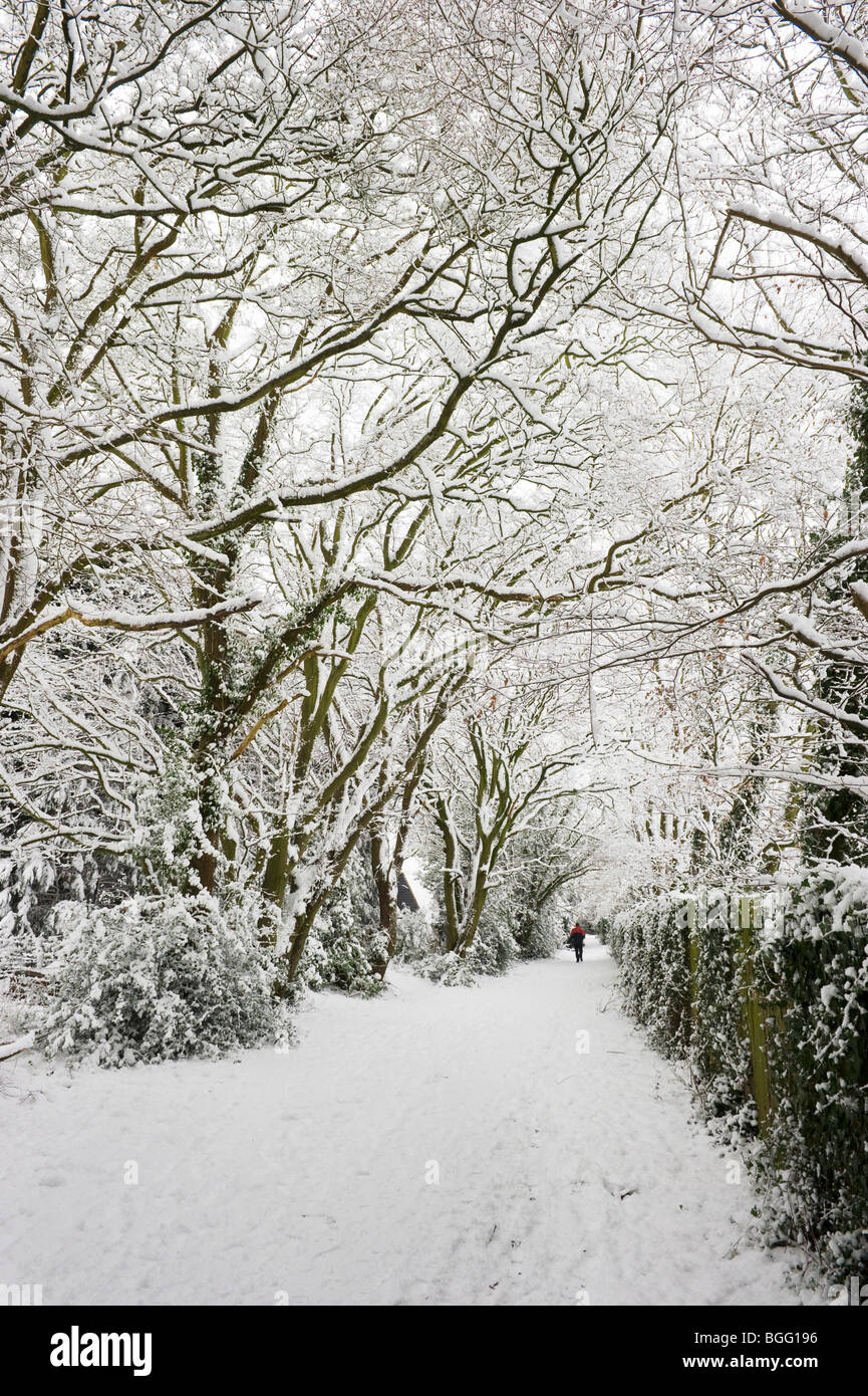 Winterschnee bedeckten Weg und Bäume in einer ländlichen Gegend eine Chilterns Bucks UK Stockfoto