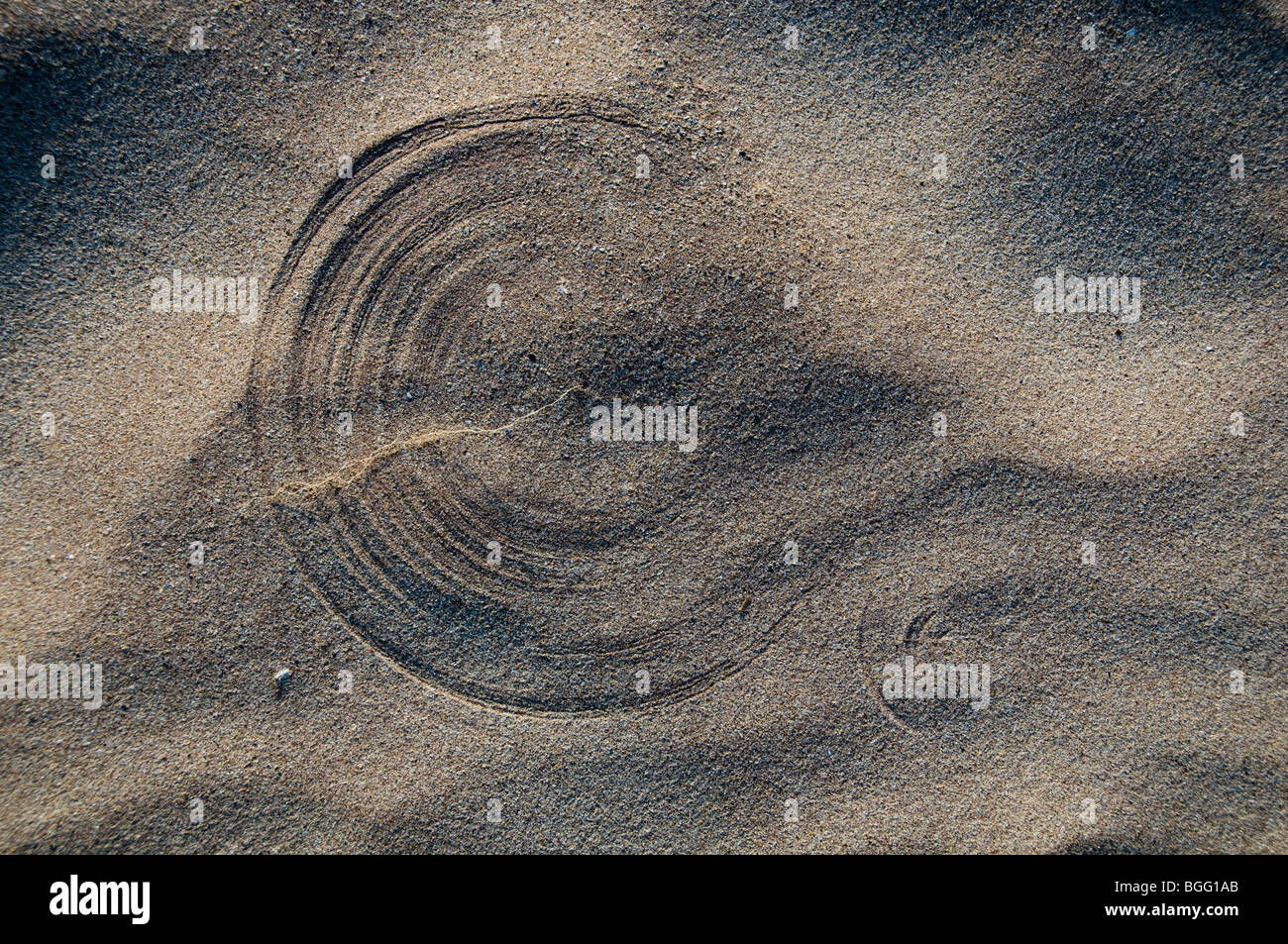 Ein kreisförmiges Muster gemacht in den Sand auf einem schottischen Strand durch den Wind eine Dünengebieten Graswurzel rund und rund Stockfoto