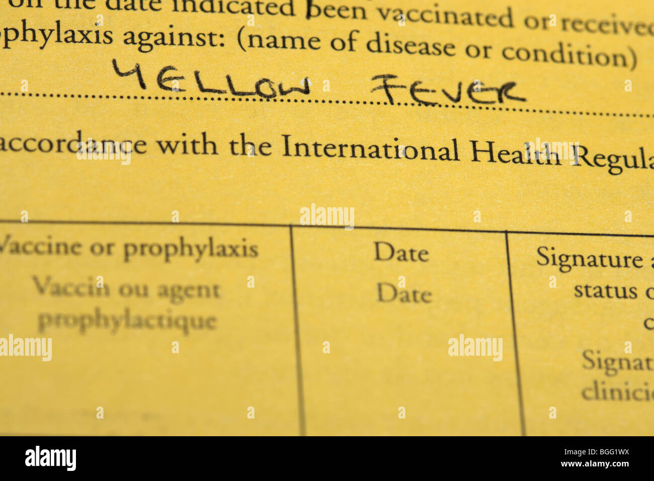 internationale Bescheinigung über die Impfung oder Prophylaxe-Dokument für die Gelbfieberimpfung Stockfoto