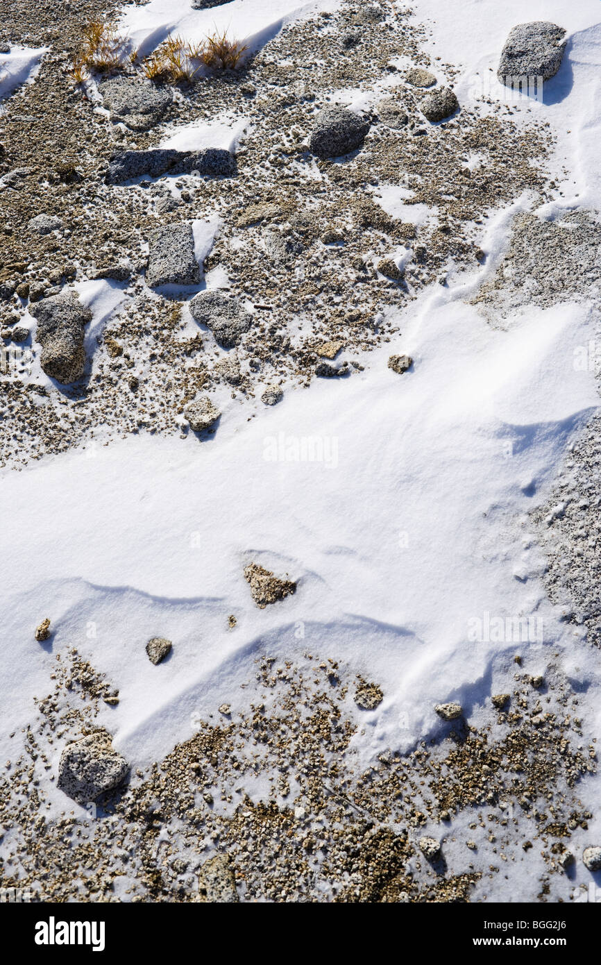 Details der Wind fegte Schnee auf dem felsigen Boden, Verzauberung Lakes Wilderness Area, Kaskaden von Washington, USA. Stockfoto