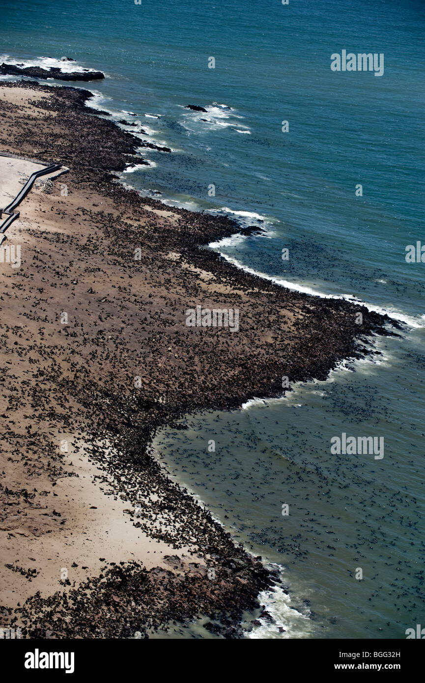 Cape Cross Robbenkolonie (Antenne) Namibia Stockfoto