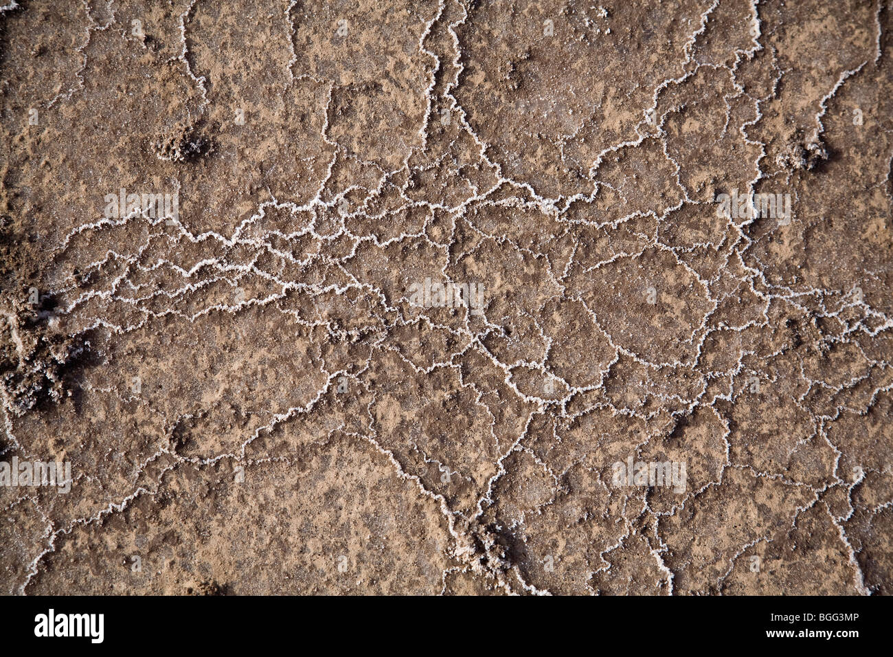 Thread wie Muster der weiße Salz Ablagerung auf dunkler ältere Salzablagerungen Pedra da Lume Kap Verde Stockfoto
