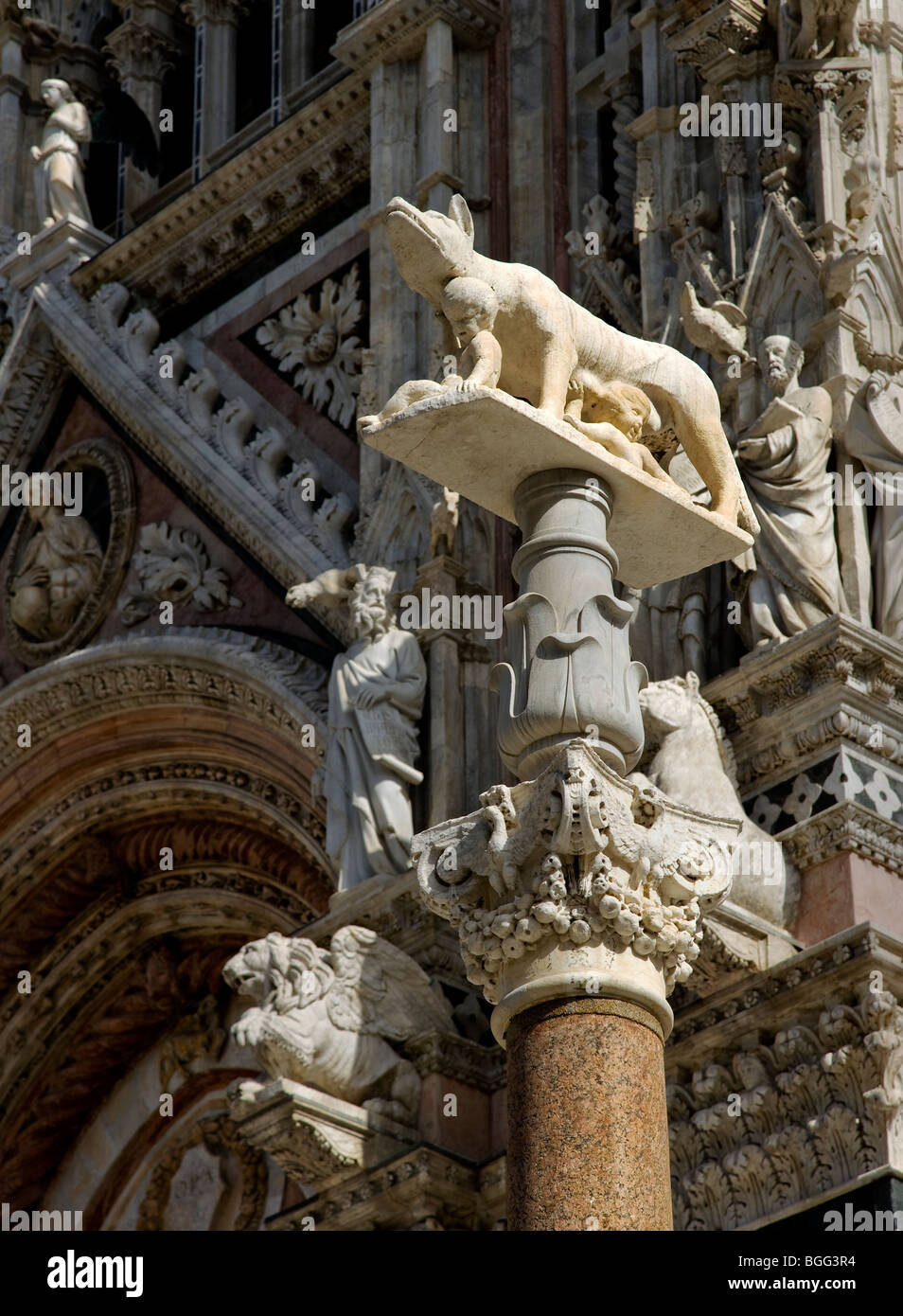 Säule mit einer Skulptur von der Wölfin mit Romulus und Remus durch den Eingang Portikus des Doms in Siena Italien Stockfoto