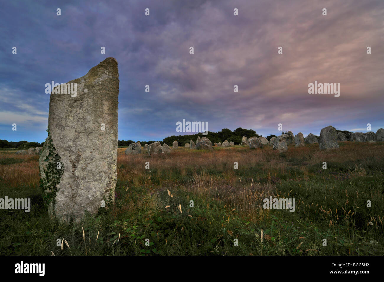 Neolithischen Menhiren / stehenden Steinen in der Abenddämmerung bei Carnac, Bretagne, Frankreich Stockfoto