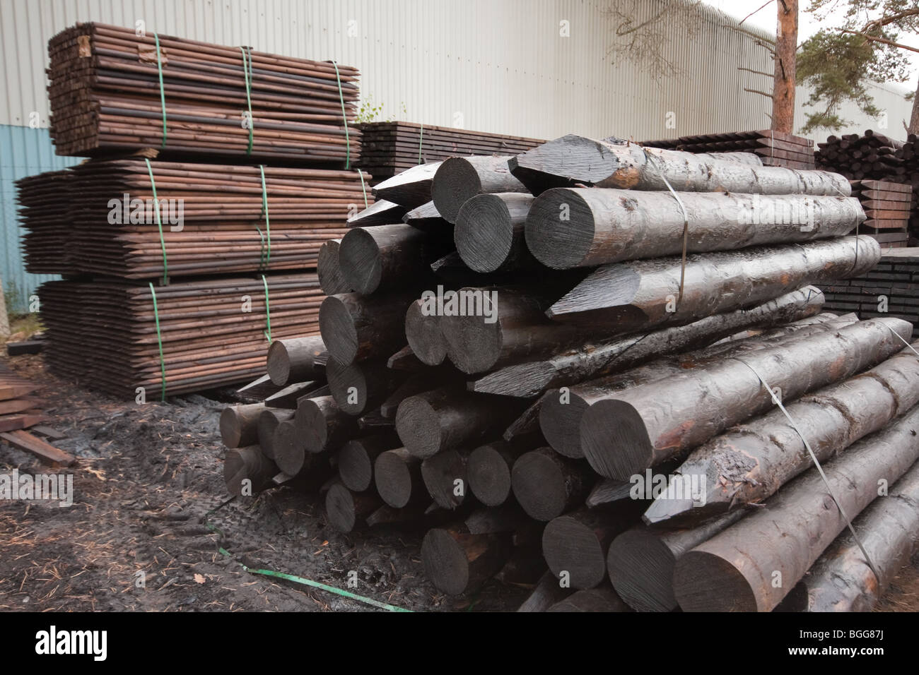 Moderne behandelt hölzerne Fechten in Stacks am Holzhändler, England Stockfoto