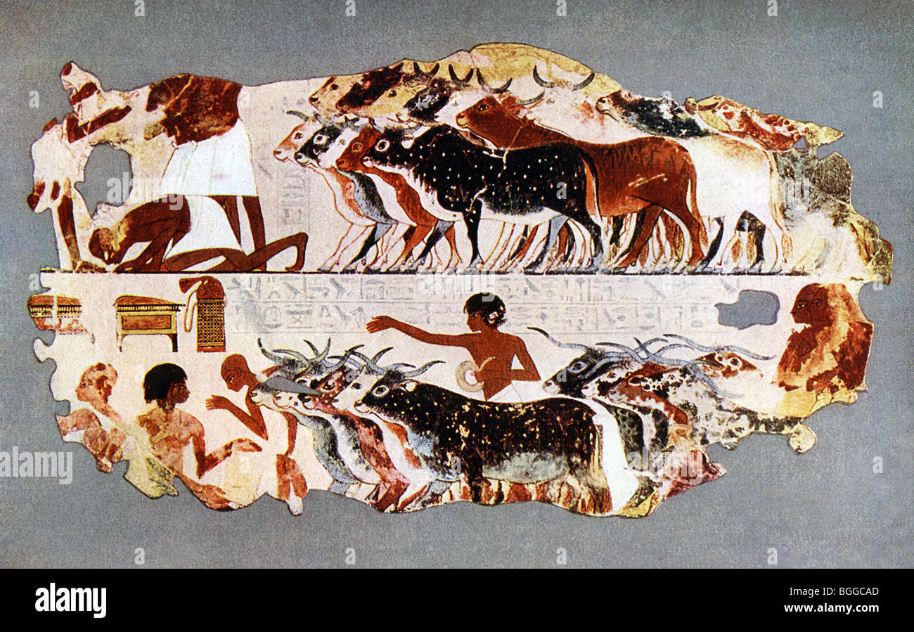 Egyptian ancient painting Fotos und Bildmaterial in hoher Auflösung