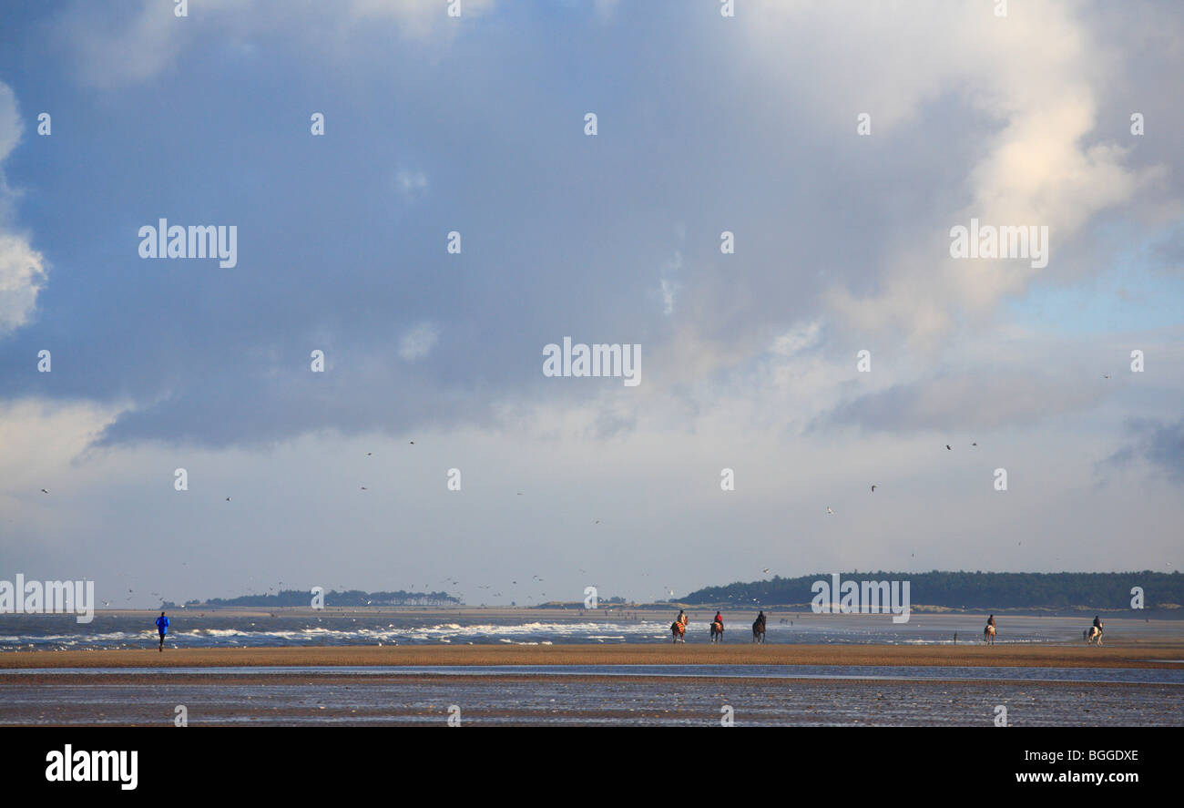 Fünf Reiter am Strand Reiten zurück in Holkham von Burnham Overy am Silvester Tag 2010. Stockfoto