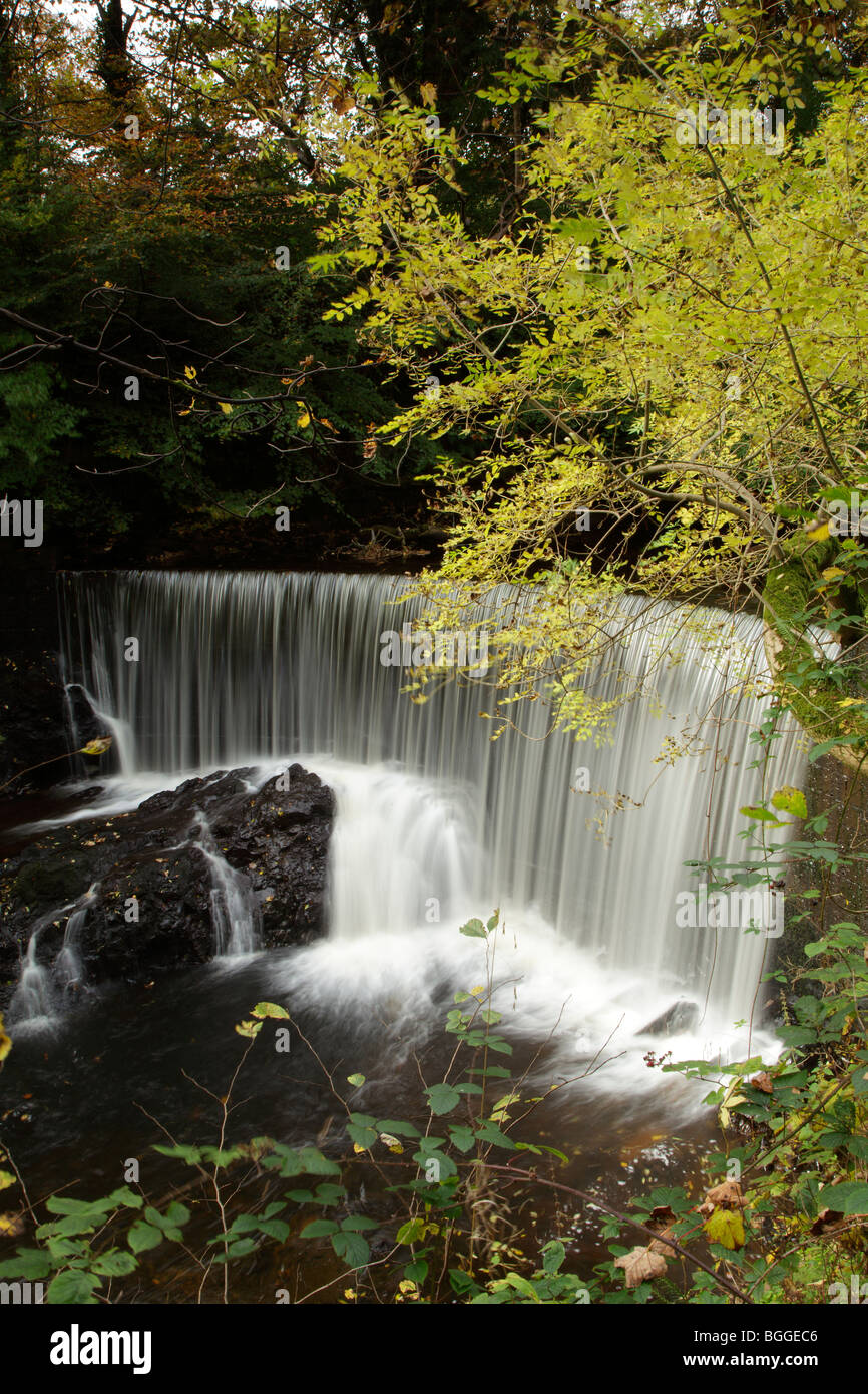 Ein Wasserfall am Fluss Calder, Lochwinnoch Renfrewshire Scotland UK Stockfoto