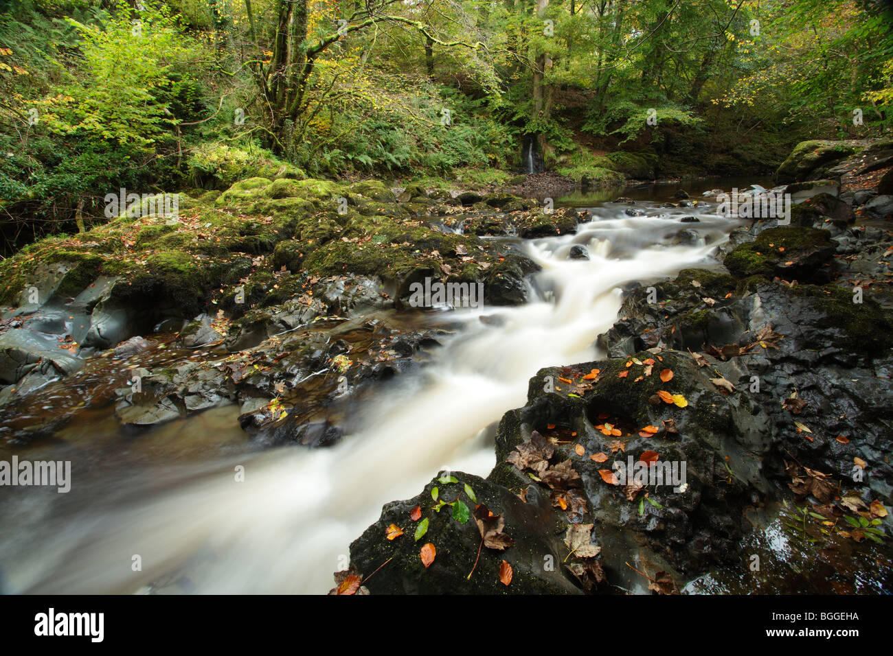 Flusses Calder im Herbst, Lochwinnoch Renfrewshire Schottland, Vereinigtes Königreich Stockfoto