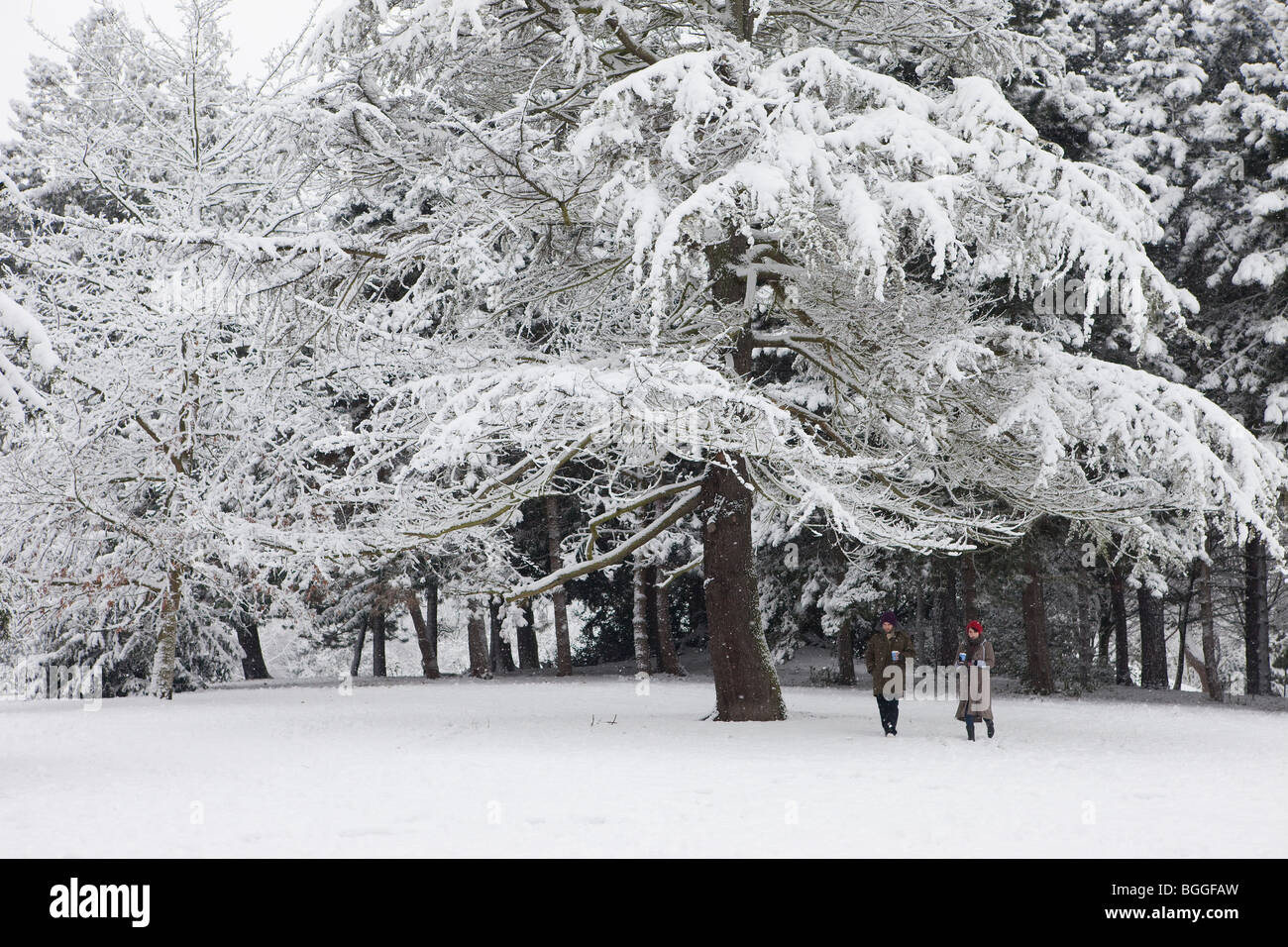 London, England, 6. Januar 2010: starker Schneefall. Stockfoto