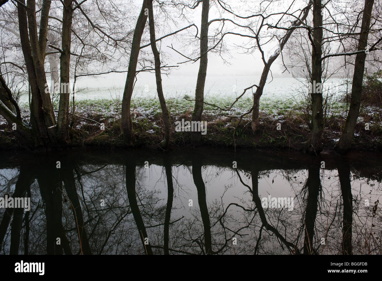 Baumreihe Fluss in Winterlandschaft Stockfoto