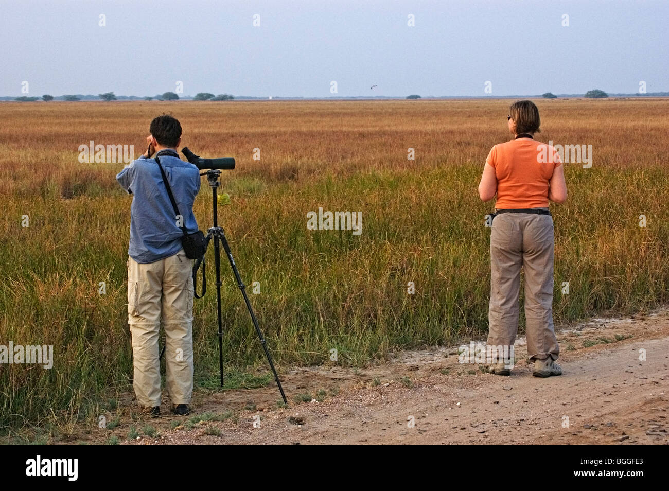 Vogelbeobachter Velavadar Nationalpark Stockfoto